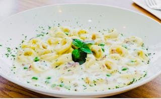 Cheese Tortellini Alfredo