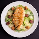 Grilled Chicken Caesar Salad