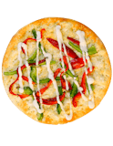 Bianca Pizza(Vegetarian)