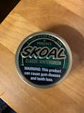 Skoal Wintergreen Pouches