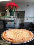 Plain Pizza Slice