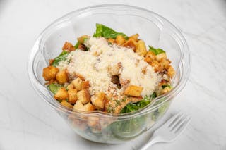 Grilled Chicken Cesar Salad
