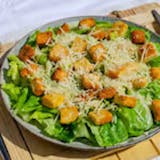 Grilled Chicken Caesar Salad