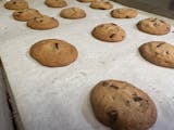 Baked In House Chocolate Chip Cookie