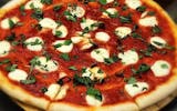 Margherita Pizza