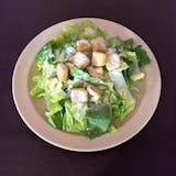 Caesar Salad with Grilled Chicken Breast