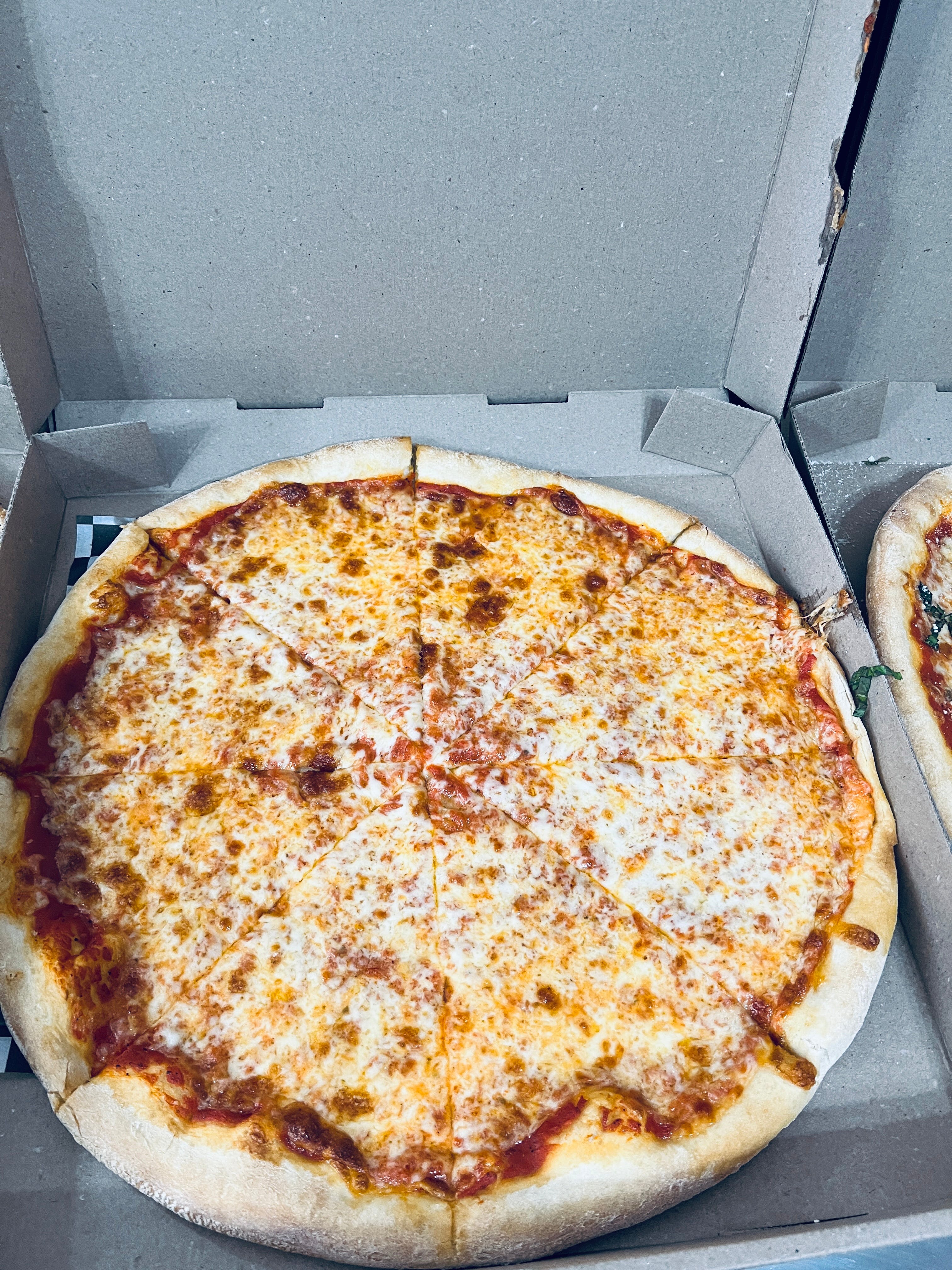 Halloween special LG plain pizza