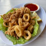 Fried Calamari