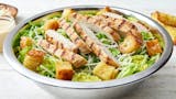 Chicken Caesar Salad