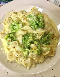 Cheese Tortellini