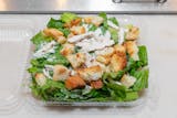 Chicken Caesar Salad