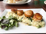 Seared Scallops Over Risotto