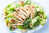 Chicken Caesar Salad