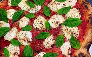 Margherita Pizza