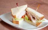 Turkey Regular Sandwich