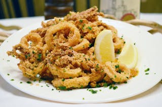 Fried Calamari