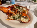 Whole Broiled Lobster