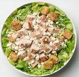 Chicken Caesar Salad