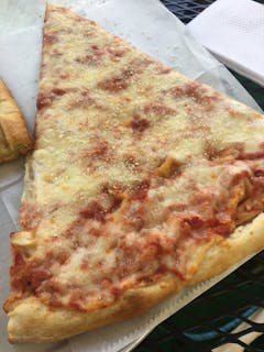 Plain Cheese Pizza