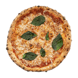Neo Margherita Neapolitan Pizza