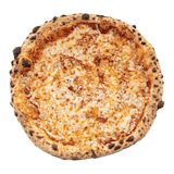 Cheese Neapolitan Pizza