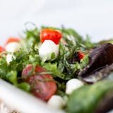 Carp EZ Salad