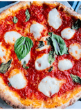 Margherita Pizza