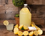 Fresh Squeezed Lemonade