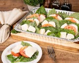 Tray of Caprese Salad