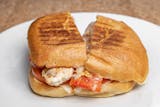Grilled Chicken Panini Special