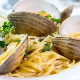 Linguini Clams in Red Sauce