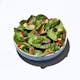 Vegan Enlightened Spinach Salad