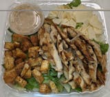 Grilled Chicken Caesar Salad