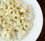 Cheese Tortellini