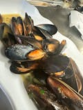Mussels