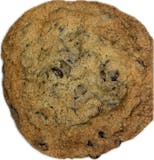 Homemade Chocolate Chip Cookies