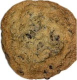 Homemade Chocolate Chip Cookies