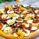 #15 Cheeseless Veggie Pizza