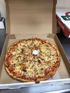 Mozzarella Cheese Pizza
