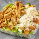 Fresh Grilled Chicken Caesar Salad