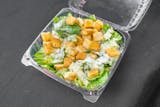 Plain Caesar Salad