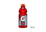 Gatorade Fruit Punch