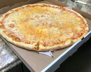 Plain Round Cheese Pizza
