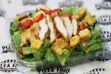 Grilled Chicken Salad