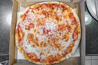 Plain Cheese Pizza