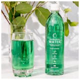 Chlorophyll Water (Bottle)