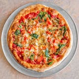 Party Size - Primavera Pizza