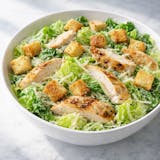 Chicken Caesar Salad