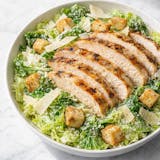 Grilled Chicken Caesar Salad
