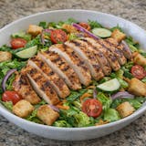 Grilled Chicken Salad